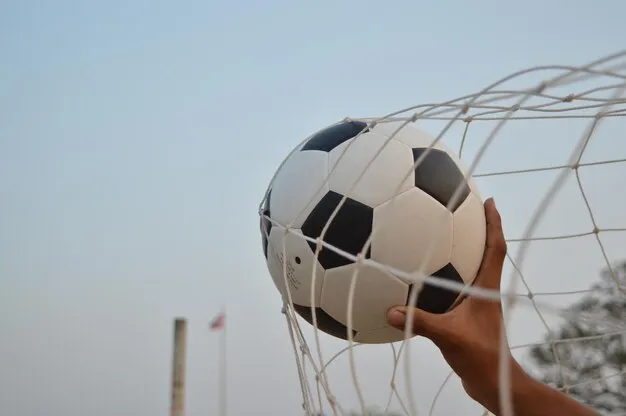 意甲直播体育 足球赛事背景